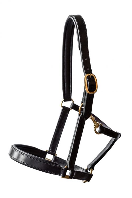 Leather Padded Headcollar by TC Leatherwork in Somerset